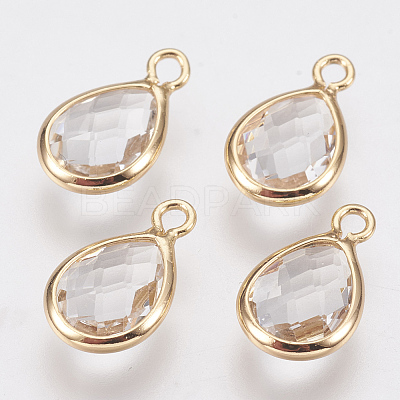 Glass Charms X-KK-Q752-001G-1
