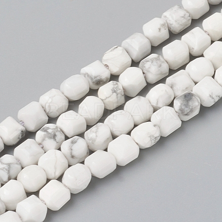 Natural Howlite Beads Strands G-I270-09-1