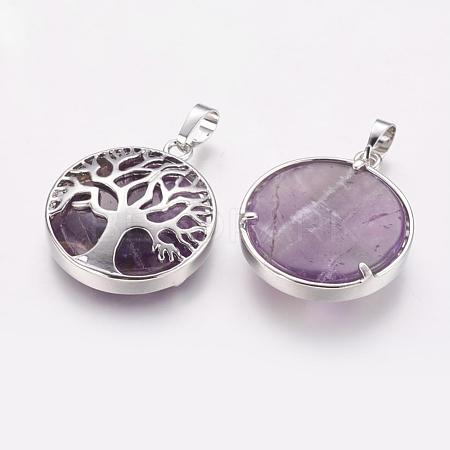 Natural Amethyst Pendants G-E388-09P-1