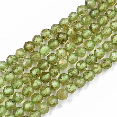 Natural Peridot Beads Strands G-S362-076-1