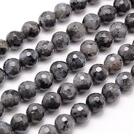 Natural Larvikite Beads Strands G-G736-01-6mm-1