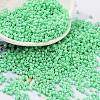 Baking Paint Glass Seed Beads SEED-S042-05B-59-1