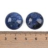 Natural Sodalite Cabochons G-T020-18mm-33-3