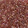 Glass Seed Beads SEED-S042-13A-17-3