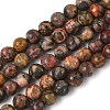 Natural Leopard Skin Jasper Beads Strands G-J358-05-6mm-2