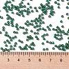 TOHO Round Seed Beads X-SEED-TR11-0036F-4