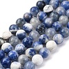 Natural Sodalite Beads Strand LS-GSR6mmC013-4