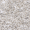 Glass Seed Beads X-SEED-S042-04B-06-3