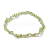 Natural Olive Jade Chips Beaded Stretch Bracelets for Women BJEW-JB10046-02-2