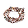 Natural Gemstone Beads Strands G-F328-26-5