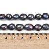 Natural Cultured Freshwater Pearl Beads Strands PEAR-P064-20K-03D-5