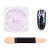 Nail Art Glitter Powder MRMJ-Q046-010E-1