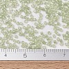 MIYUKI Delica Beads X-SEED-J020-DB1765-4