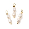 Natural Freshwater Pearl Beaded Pendants PA-CBAF2FA-02G-02-1
