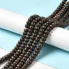 Natural Red Snowflake Obsidian Beads Strands LS-G-G992-B03-2