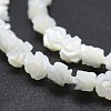 Natural White Shell Beads Strands SSHEL-P015-01A-6mm-3