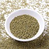MIYUKI Delica Beads SEED-X0054-DB2046-2