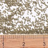 MIYUKI Delica Beads SEED-J020-DB0384-4