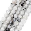 Natural Rainbow Moonstone Beads Strands G-Q1001-A05-02-2