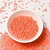 8/0 Transparent Glass Seed Beads SEED-F003-03B-11-2