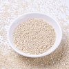 MIYUKI Delica Beads SEED-J020-DB1874-2