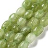 Dyed Natural Malaysia Jade Beads Strands G-P528-I01-01-1