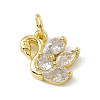 Brass Micro Pave Cubic Zirconia Charms ZIRC-F132-09G-1