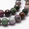Natural Indian Agate Beads Strands G-D840-51-12mm-3