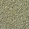 MIYUKI Delica Beads SEED-MY11-DB1181-3