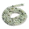 Natural Prehnite Beads Strands G-G140-A19-03-3