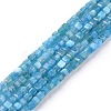 Natural Apatite Beads Strands G-P457-B01-14A-1