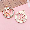 Zinc Alloy Crystal Rhinestone Pendants WGC2D94-05-1