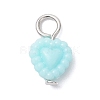 Opaque Acrylic Pendants PALLOY-JF04351-01-3