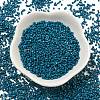 Glass Cylinder Beads SEED-Q036-01A-D06-5