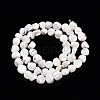 Natural Trochid Shell/Trochus Shell Beads Strands SSHEL-N032-48-3
