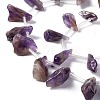 Natural Amethyst Beads Strands G-I329-02-4