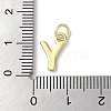 Rack Plating Brass Charms KK-P245-06G-Y-3