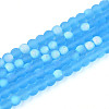 Frosted Transparent Glass Beads Strands GLAA-T032-T4mm-MBB06-1