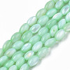 Natural Freshwater Shell Beads Strands SHEL-N003-25-B03-1