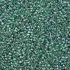 TOHO Round Seed Beads SEED-XTR11-0264-2
