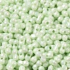 Opaque Colours Luster Glass Seed Beads X1-SEED-B001-01A-10-3