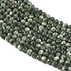 Natural Seraphinite Beads Strands G-K376-A02-2mm-4