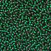 TOHO Round Seed Beads X-SEED-TR11-0036F-2