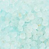 Frosted Glass Beads X1-FGLA-D300-01B-3