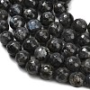 Natural Larvikite Beads Strands G-C280-B06-12mm-4