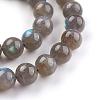 Grade AA Natural Gemstone Labradorite Round Beads Strands G-E251-33-8mm-6