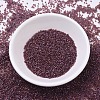 MIYUKI Delica Beads Small SEED-X0054-DBS0129-2