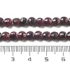 Natural Garnet Beads Strands G-C179-A25-01-5