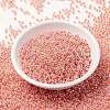 MIYUKI Round Rocailles Beads X-SEED-G008-RR0539-2