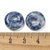 Natural Blue Spot Jasper Donut/Pi Disc Charms G-G142-02E-3